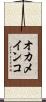 オカメインコ Scroll