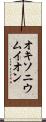 オキソニウムイオン Scroll