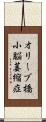 オリーブ橋小脳萎縮症 Scroll