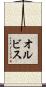オルビス Scroll