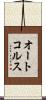 オートコルス Scroll