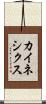 カイネシクス Scroll