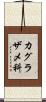 カグラザメ科 Scroll