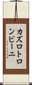 カズロトロンビーニ Scroll