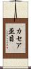 カセア亜目 Scroll