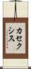 カセクシス Scroll