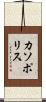 カソポリス Scroll
