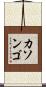 カソンゴ Scroll