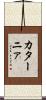 カターニァ Scroll
