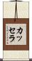 カッセラ Scroll