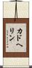 カドヘリン Scroll