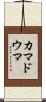カマドウマ Scroll
