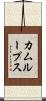 カムループス Scroll
