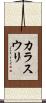 カラスウリ Scroll