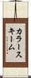 カラースキーム Scroll