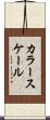 カラー・スケール Scroll