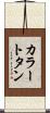 カラー・トタン Scroll