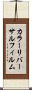 カラーリバーサルフィルム Scroll