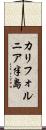 カリフォルニア半島 Scroll