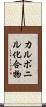 カルボニル化合物 Scroll