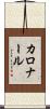 カロナール Scroll