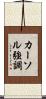 カーソル強調 Scroll