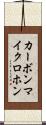 カーボンマイクロホン Scroll