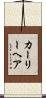 カーリーヘア Scroll