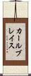カールブレイス Scroll