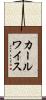 カールワイス Scroll
