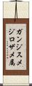 ガンジスメジロザメ属 Scroll