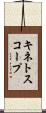 キネトスコープ Scroll
