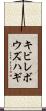 キビレボウズハギ Scroll