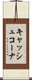 キャッシュコーナ Scroll