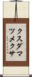 クスダマツメクサ Scroll
