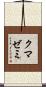 クマゼミ Scroll