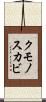 クモノスカビ Scroll