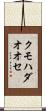 クモハダオオセ Scroll