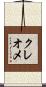クレオメ Scroll