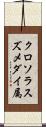 クロソラスズメダイ属 Scroll