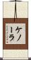 ケノーラ Scroll