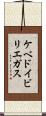 ケベドイビリエガス Scroll