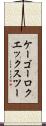 ケーゴーロクエックスツー Scroll
