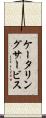 ケータリングサービス Scroll