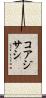 コアジサシ Scroll