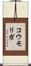 コウモリガ Scroll