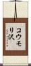 コウモリ沢 Scroll