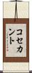 コセカント Scroll