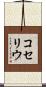 コセリウ Scroll