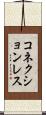 コネクションレス Scroll